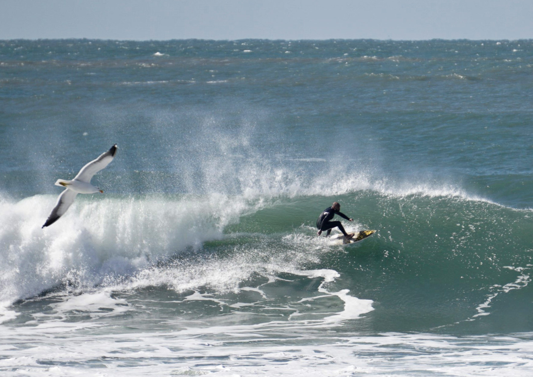 Surfista pegando uma onda na região da Praia do Rosa